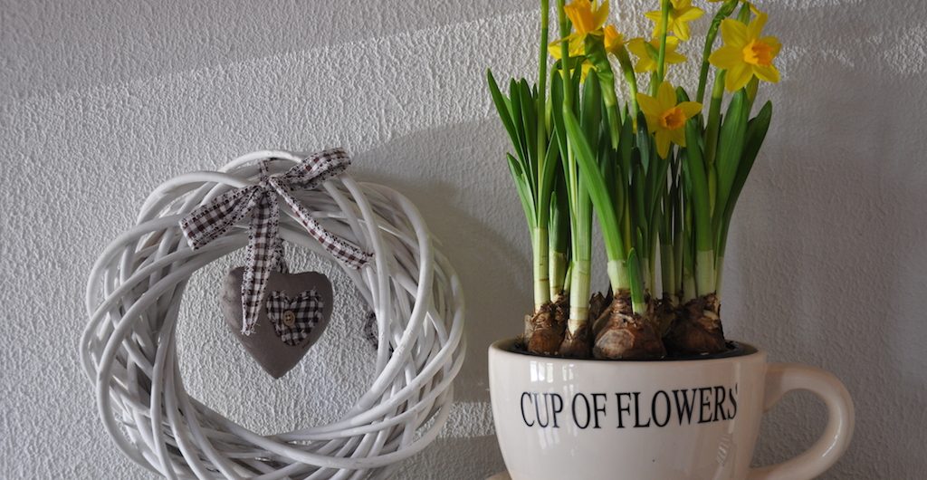 Der Frühling ist da… › nordhessenmami.de